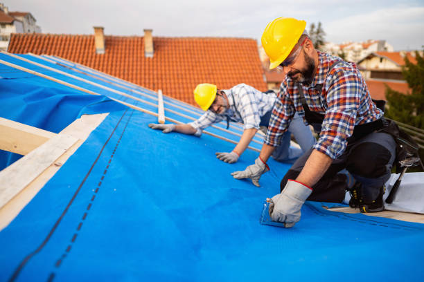 Best Local Roofing Companies  in Parsons, KS